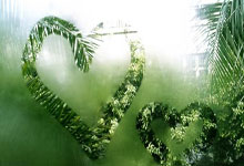 意大利劲旅展现强大实力，球迷鼓舞