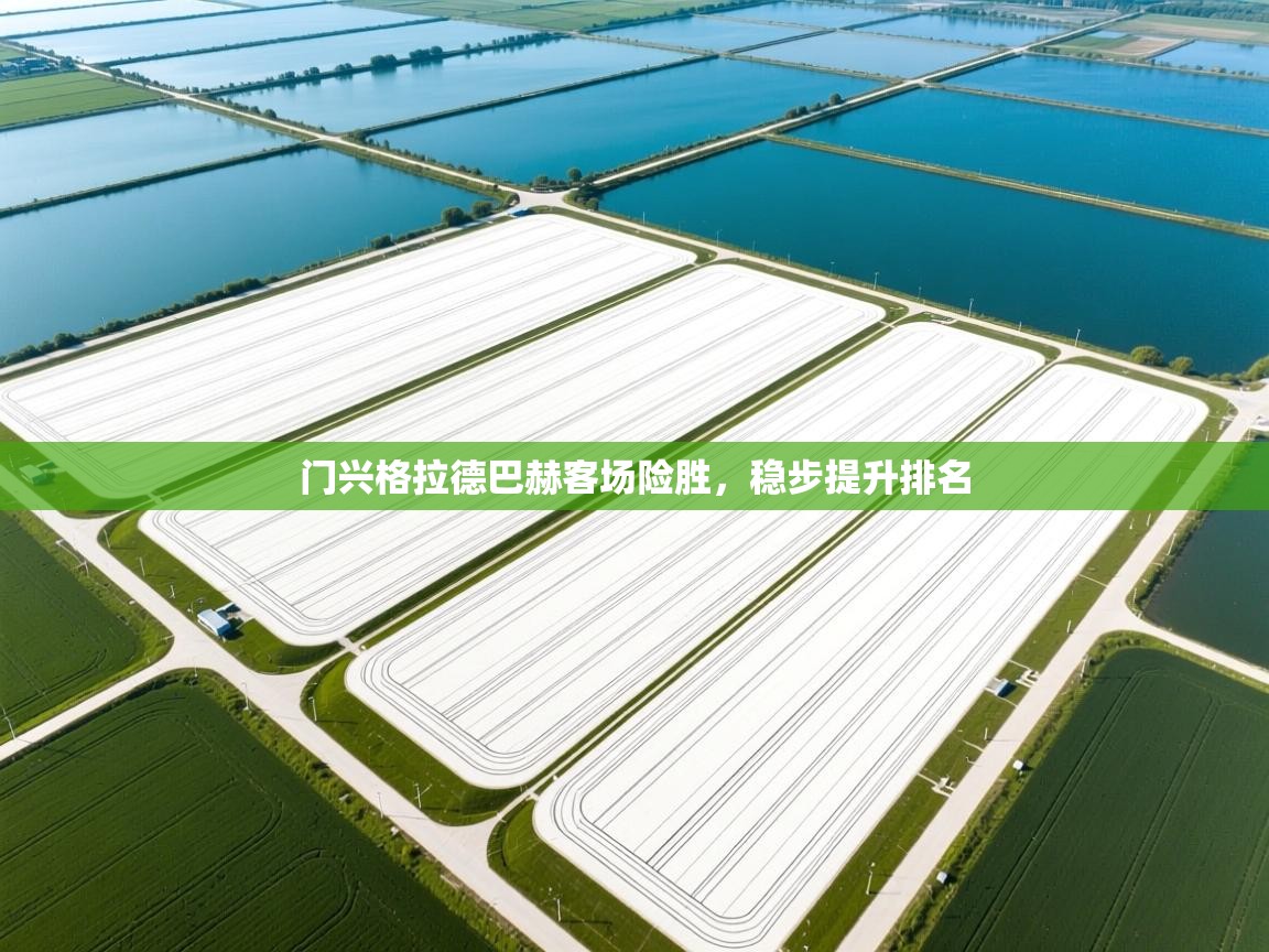 门兴格拉德巴赫客场险胜，稳步提升排名