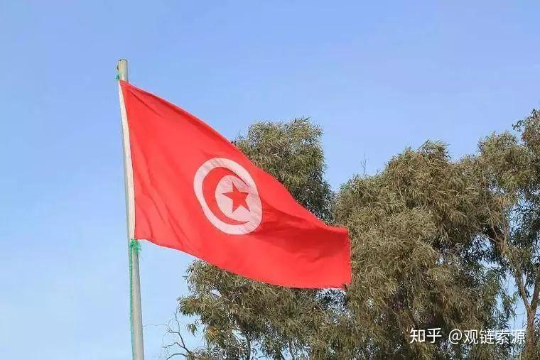 开云体育中国官方网站-突尼斯队兵败克罗地亚队，实现逆袭