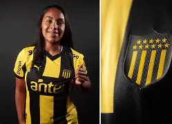 开云体育官网首页-佩纳罗尔壮气凌云，继续冲刺胜利的简单介绍