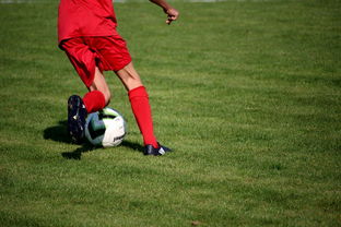 开云体育网页版入口-阿尔艾因球员心理调节到位，比赛中发挥更稳定