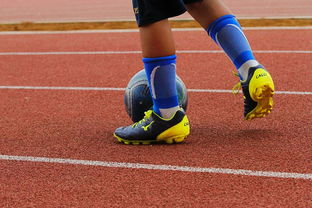 开云体育网页版入口-利物浦小将表现抢眼，劲旅添新力量